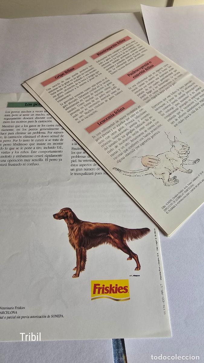 Cat&aacute;logos publicitarios: FOLLETO - FRISKIES - - Foto 2