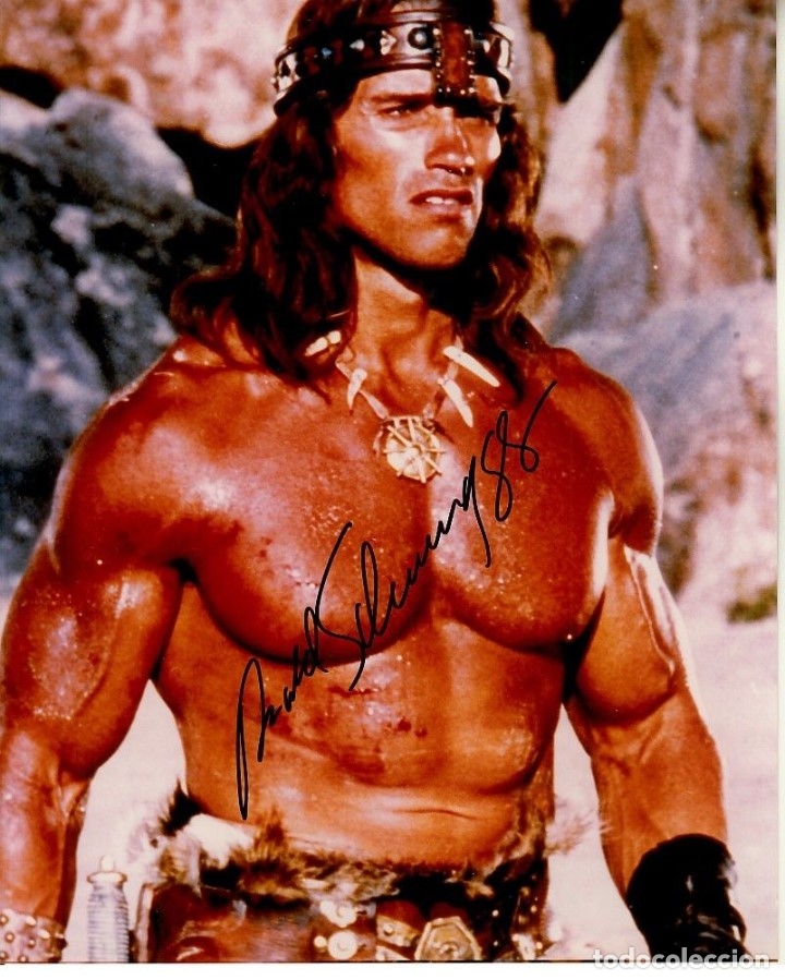 Conan Foto Firmada Arnold Schwarzenegger Sold Through Direct Sale