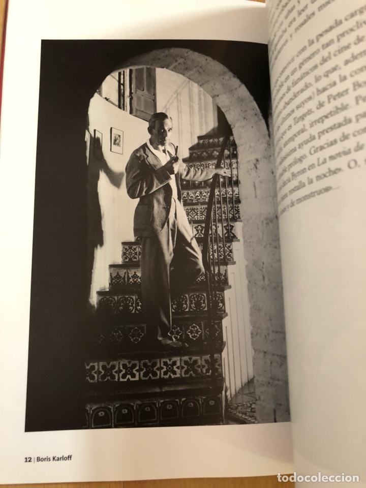 Cine: Libro boris karloff el arist&oacute;crata del terror - Foto 12