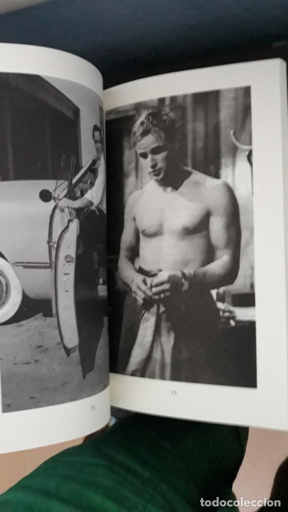 Cine: MARLON BRANDO - Foto 13