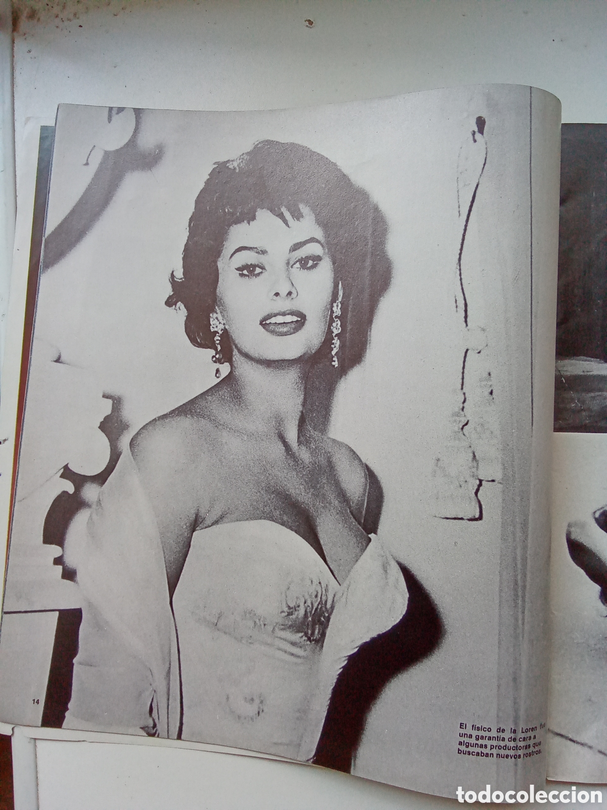 Cine: CINE . VIDAS SECRETAS. . SOFIA LOREN - Foto 3