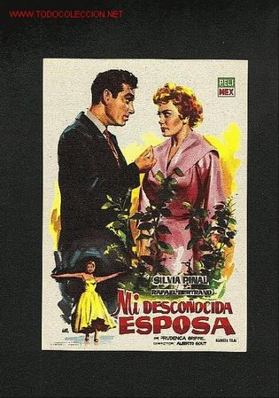 Cine: Mi desconocida esposa - Foto 1