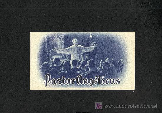 Cine: PASTOR ANGELICUS - Foto 1