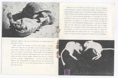 Cine: PTCC 328 EL DESIERTO VIVIENTE PROGRAMA LIBRITO DANES WALT DISNEY - Foto 2