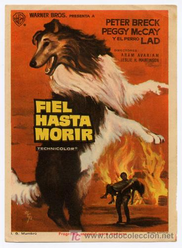 Cine: FIEL HASTA MORIR PROGRAMA SENCILLO WARNER CARROLL OCONNOR - Foto 1