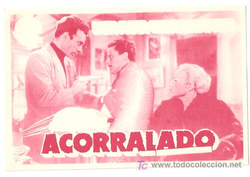 Cine: ACORRALADO PROGRAMA SENCILLO FLORALVA SIMONE SIGNORET DANE CLARK E - Foto 1