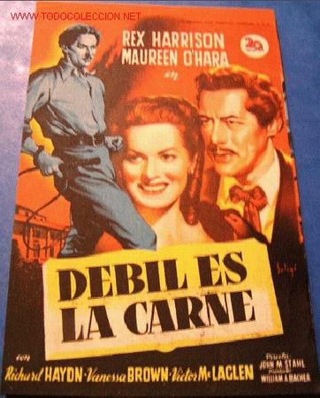 Cinema: DEBIL ES LA CARNE (Solig&oacute;)