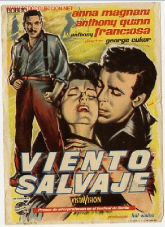 Cine: VIENTO SALVAJE    PM2035 - Foto 1