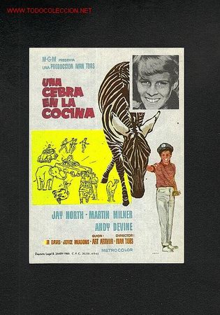 Cine: Una cebra en la cocina - Foto 1