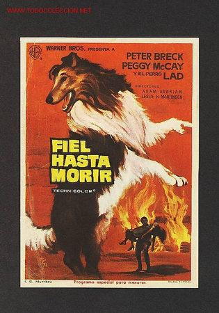 Cine: Fiel hasta morir - Foto 1