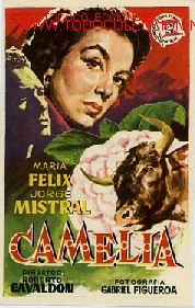Cine: Camelia - Foto 1
