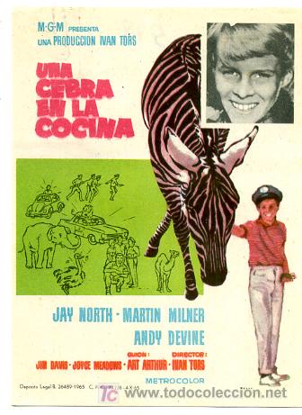 Cine: UNA CEBRA EN LA COCINA , SENCILLO , PMD 578 - Foto 1