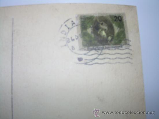 Cine: EL LIBRO DE LA SELVA (POSTAL) - Foto 3