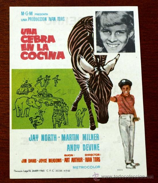 Kino: UNA CEBRA EN LA COCINA - con impreso al dorso -