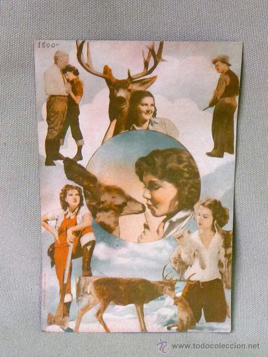 Cine: PROGRAMA DE CINE, SE QUOIA, JEAN PARKER, - Foto 4