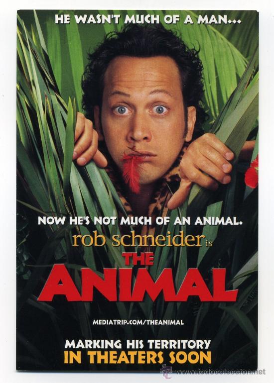 Folhetos de m&atilde;o de filmes antigos de cinema: THE ANIMAL, con Rod Schneider.