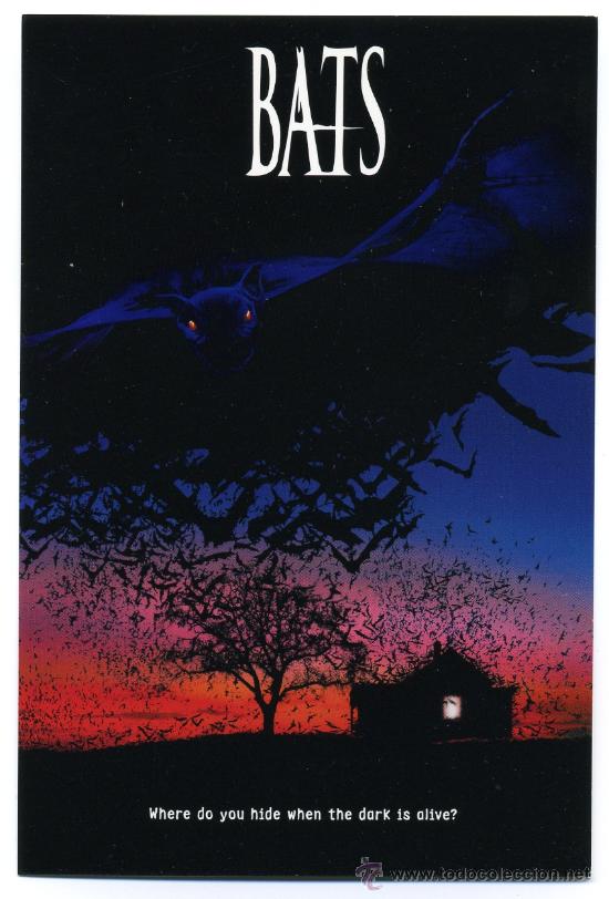 Cine: BATS. - Foto 1