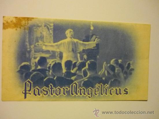 Cine: PROGRAMA PEQUE&Ntilde;O PASTOR ANGELICUS - - Foto 1