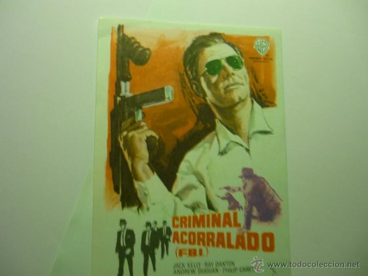 Cine: programa criminal acorralado.- jack kelly - Foto 1