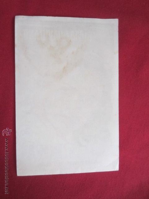 Cine: NIDO DE VIBORAS - Foto 2