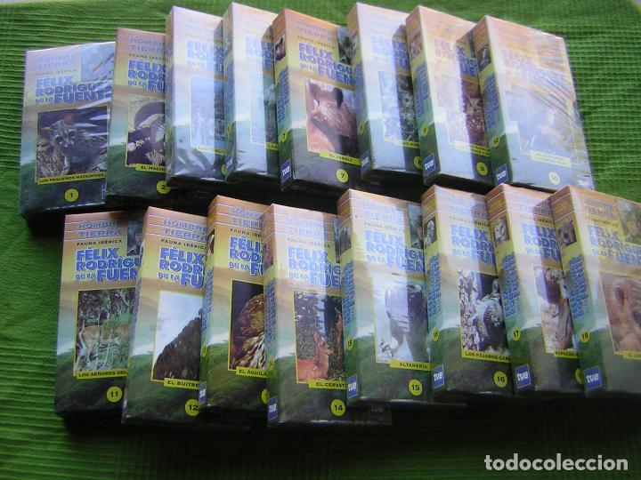 Cine: 16 DOCUMENTALES DE EL HOMBRE Y LA TIERRA EN VHS - Foto 1