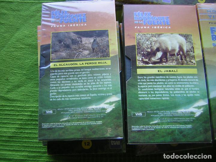 Cine: 16 DOCUMENTALES DE EL HOMBRE Y LA TIERRA EN VHS - Foto 2
