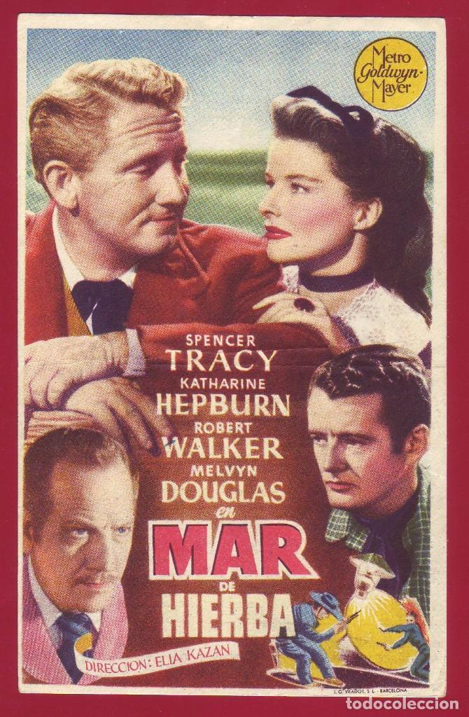 Cine: PROGRAMA DE MANO - MAR DE HIERBA - KATHARINE HEPBURN - Foto 1