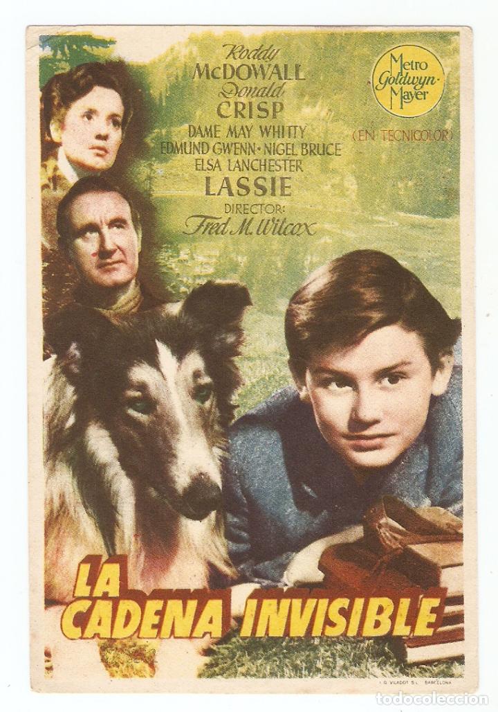 Kino: LA CADENA - LASSIE, RODDY MCDOWALL, DONALD CRISP - DIRECTOR FRED M WITCOX - CINES BOHEMIO Y GALILEO
