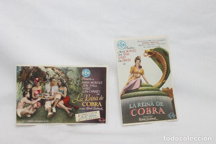 Cine: 2 PROGRAMAS LA REINA DE COBRA DIFERENTES - Foto 1