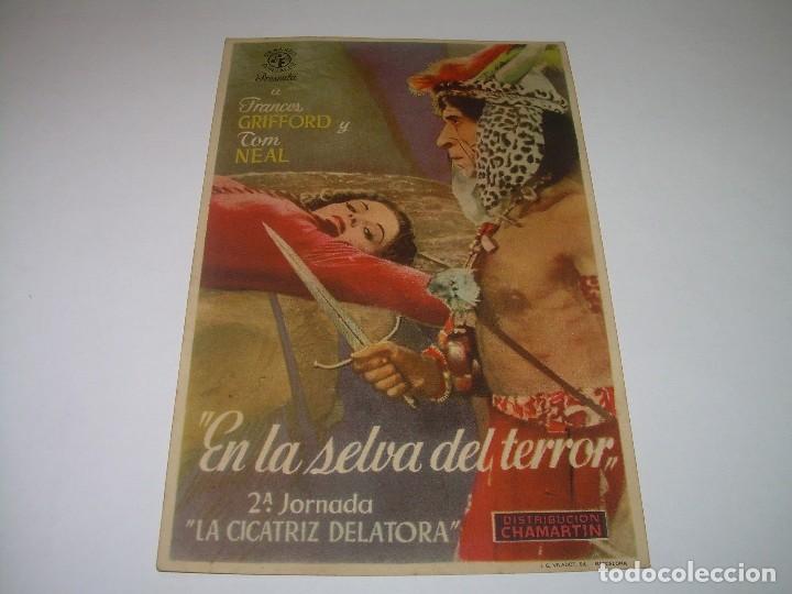 Cine: PROGRAMA DE CINE....EN SELVA DEL TERROR. - Foto 1