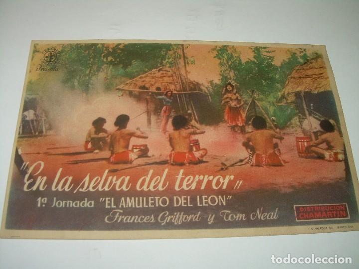 Cine: PROGRAMA DE CINE...EN LA SELVA DEL TERROR. - Foto 1