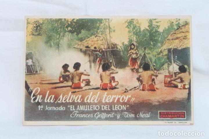 Cine: PROGRAMA EN LA SELVA DEL TERROR, CINEMA PLACE HOTEL, MADRID - Foto 1