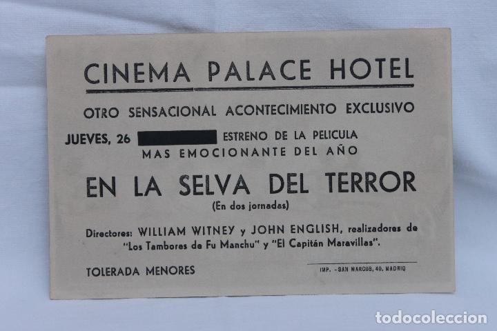 Cine: PROGRAMA EN LA SELVA DEL TERROR, CINEMA PLACE HOTEL, MADRID - Foto 2