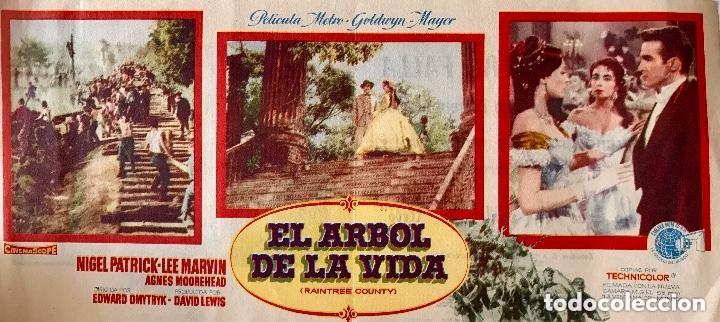 Cine: El arbol de la vida - Foto 2