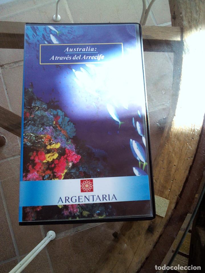 Cine: VIDEO VHS ARRECIFE AUSTRALIANO - Foto 1
