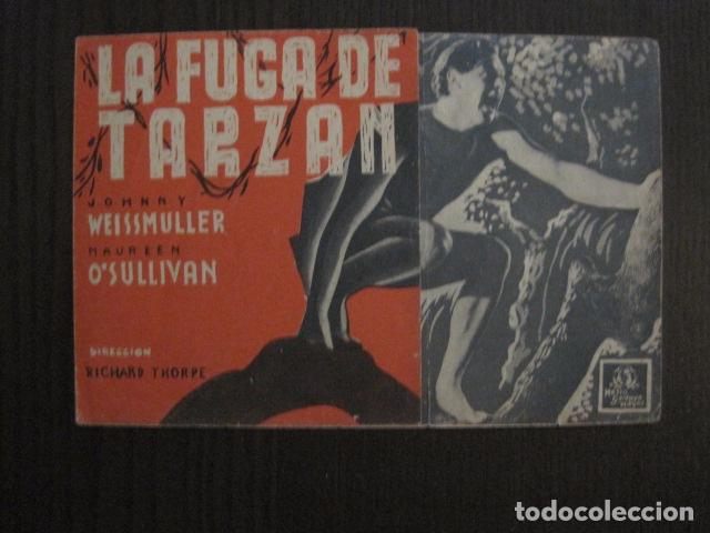Kino: LA FUGA DE TARZAN  - DOBLE   - FOTOS  - (C-4016)