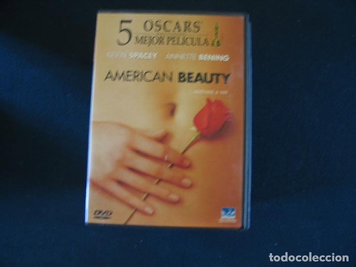 Cine: american beauty - Foto 1