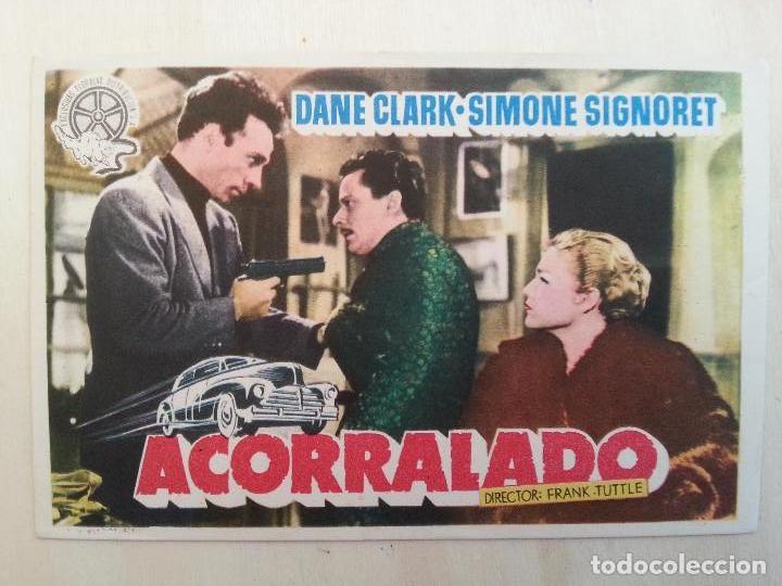 Cine: ACORRALADO- SIN PUBLICIDAD _MA - Foto 1