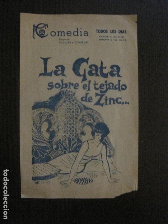 Cine: LA GATA SOBRE EL TEJADO DE ZINC -VER FOTOS-(C-4209)