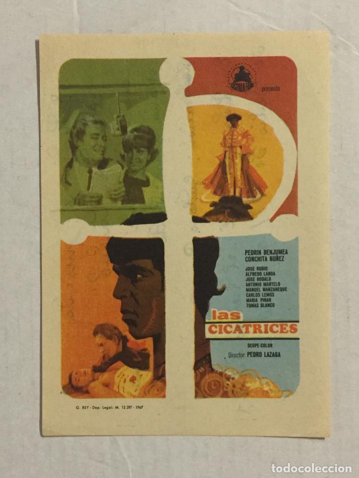 Cine: PROGRAMA DE CINE LAS CICATRICES. ESCRITO POR DETR&Aacute;S. - Foto 1