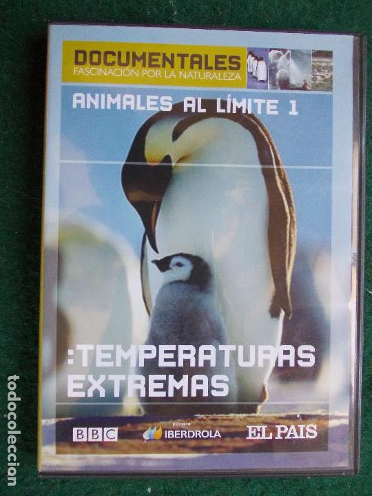 Cine: Temperaturas extremas - Foto 1