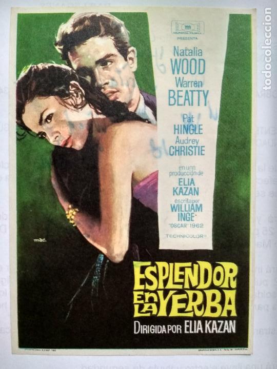  Flyers Publicitaires de films Anciens: FOLLETO DE CINE, ESPLENDOR EN LA YERBA CON WARREN BEATTY, ORIGINAL, SIN PUBLICIDAD