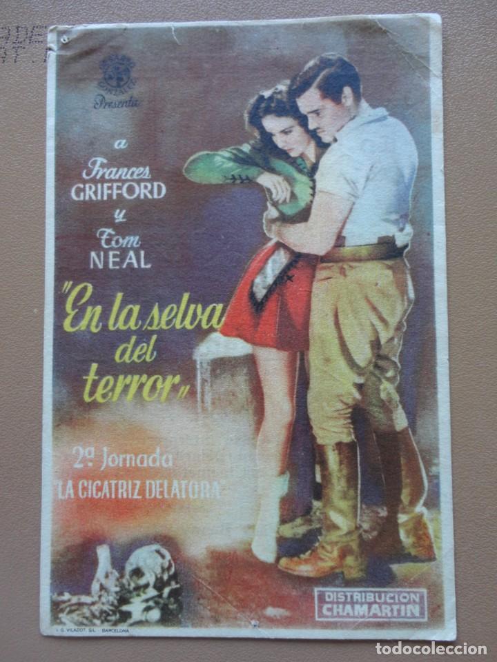 Cine: EN LA SELVA DEL TERROR - Foto 1