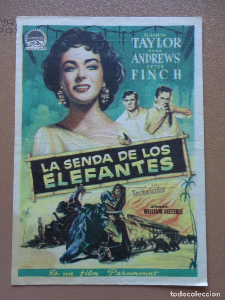 Cine: LA SENDA DE LOS ELEFANTES - Foto 1