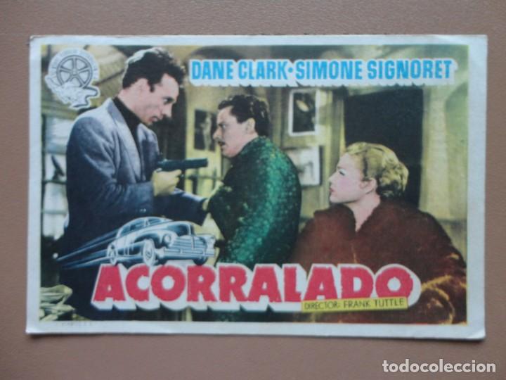 Cine: ACORRALADO. SIMONE S. - Foto 1