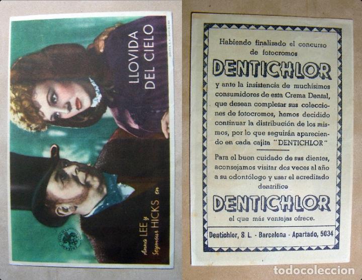 Cine: PROGRAMA DE MANO LLOVIDA DEL CIELO PUBLICIDAD DENTICHLOR - Foto 1