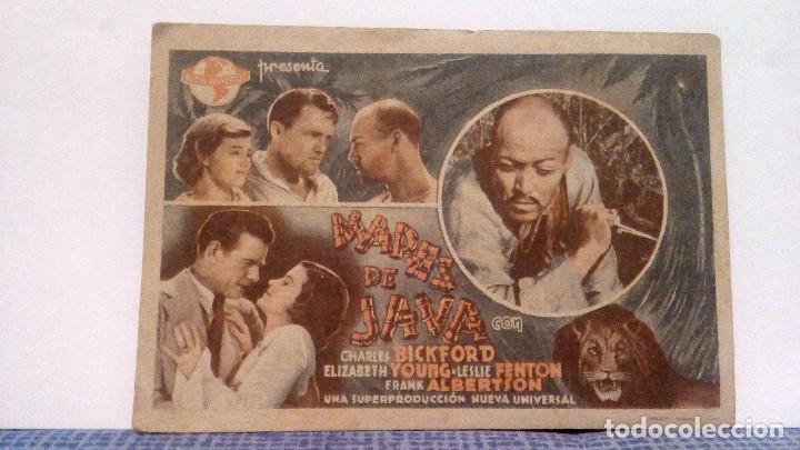 Cine: MARES DE JAVA - CHARLES BICKFORD / ELIZABETH YOUNG - PROGRAMA DE MANO CON PUBLICIDAD AL DORSO - Foto 1