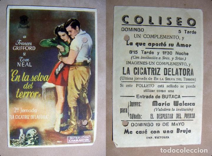 Cine: PROGRAMA DE CINE EN LA SELVA DEL TERROR  PUBLICIDAD COLISEO - Foto 1