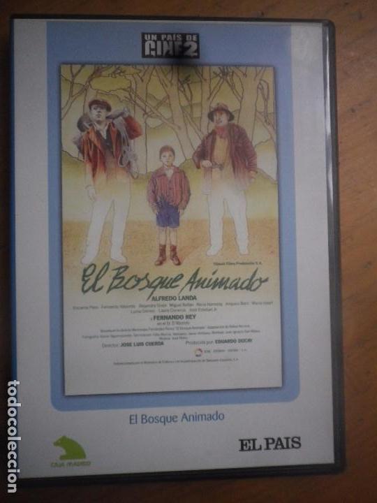 Cine: EL BOSQUE ENCANTADO - Foto 1