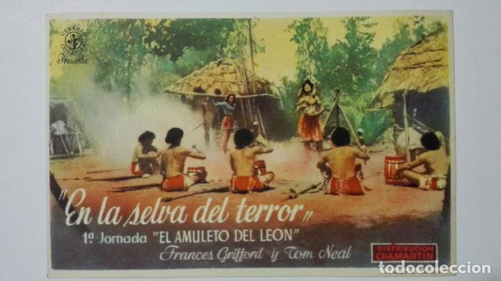 Cine: FOLLETO DE CINE, EN LA SELVA DEL TERROR, A&Ntilde;OS 50, ORIGINAL, SIN PUBLICIDAD